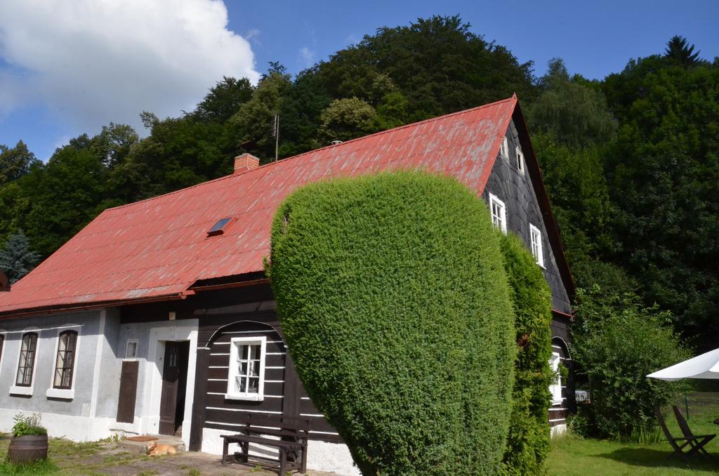 Penzion U Kozy Chřibská Exterior foto