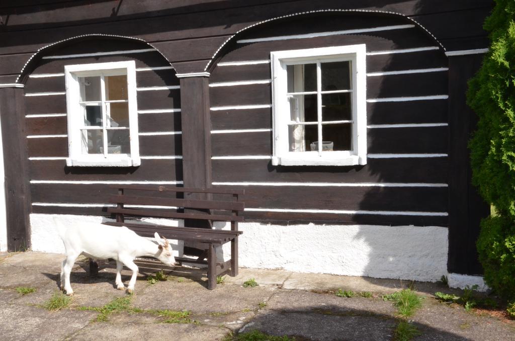 Penzion U Kozy Chřibská Exterior foto